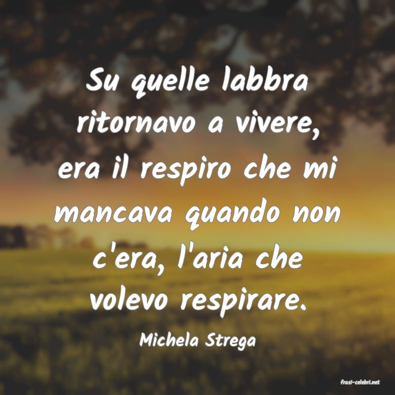 frasi di  Michela Strega
