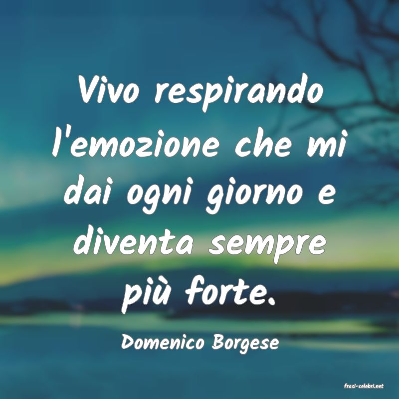 frasi di  Domenico Borgese
