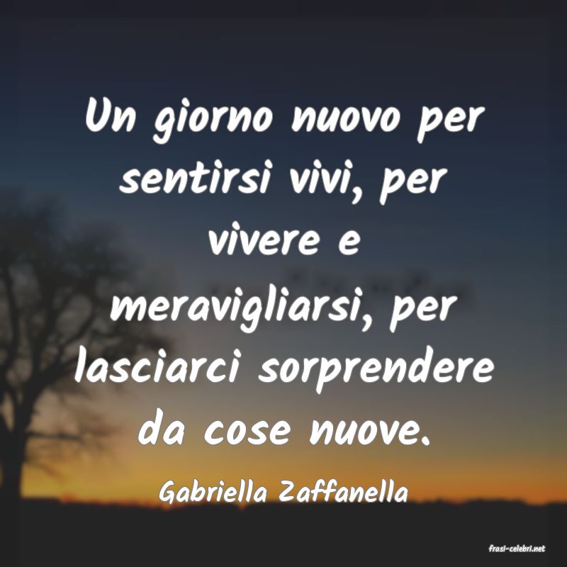 frasi di  Gabriella Zaffanella
