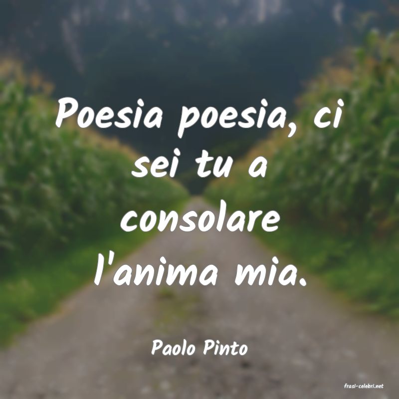 frasi di  Paolo Pinto
