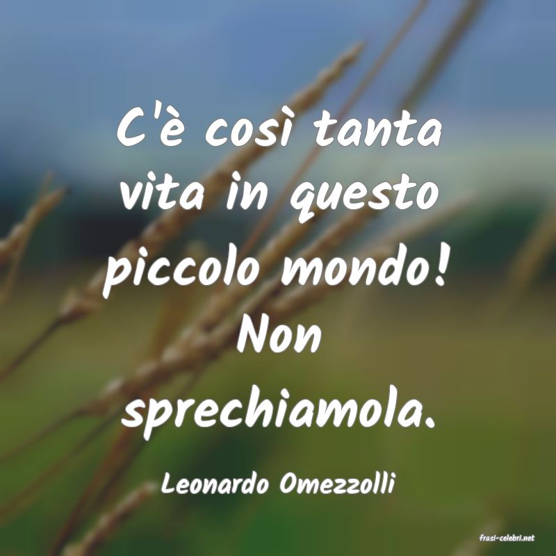 frasi di  Leonardo Omezzolli
