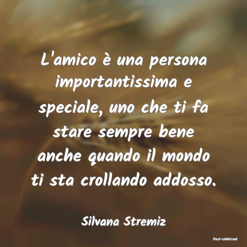 frasi di Silvana Stremiz