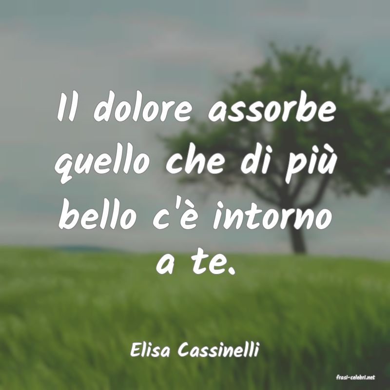 frasi di Elisa Cassinelli