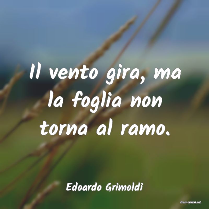 frasi di Edoardo Grimoldi