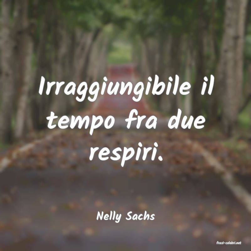 frasi di  Nelly Sachs
