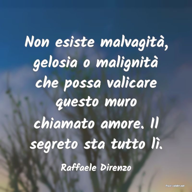 frasi di  Raffaele Direnzo
