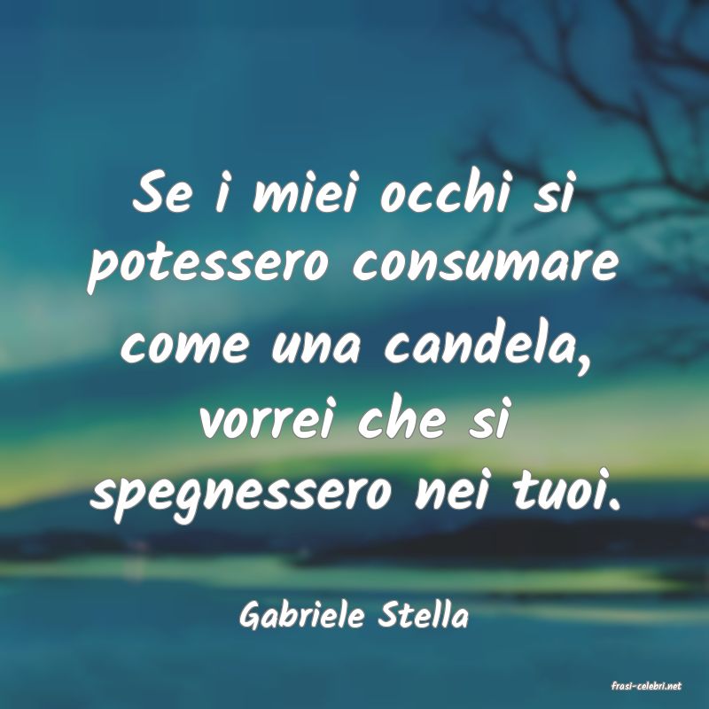frasi di  Gabriele Stella
