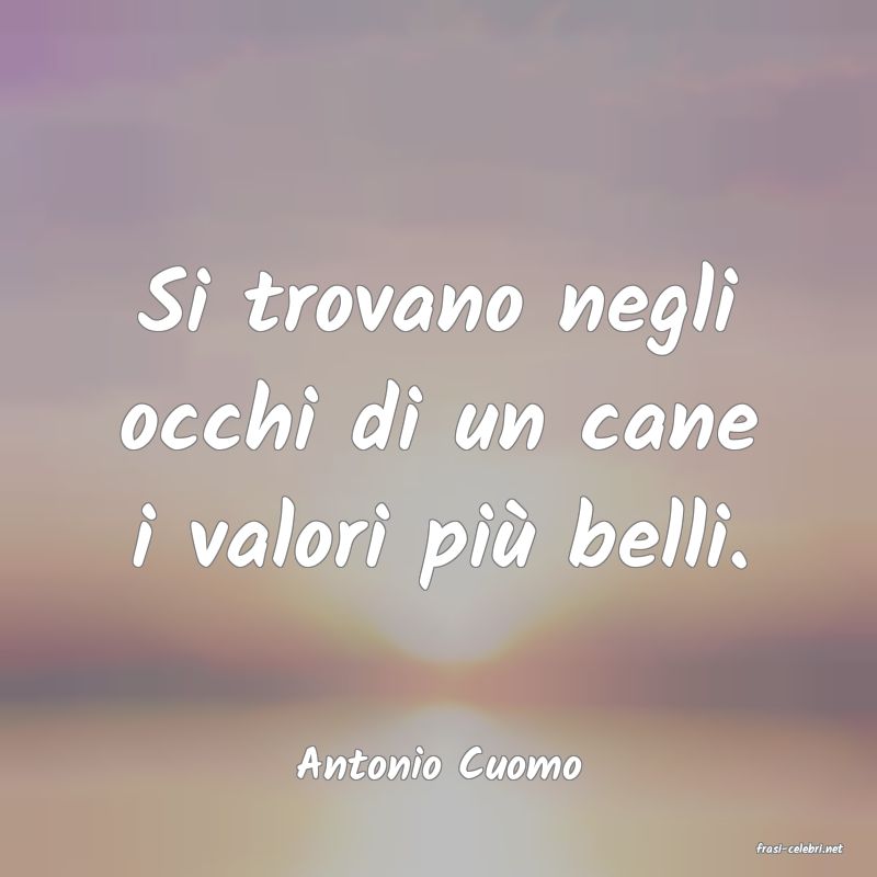 frasi di  Antonio Cuomo
