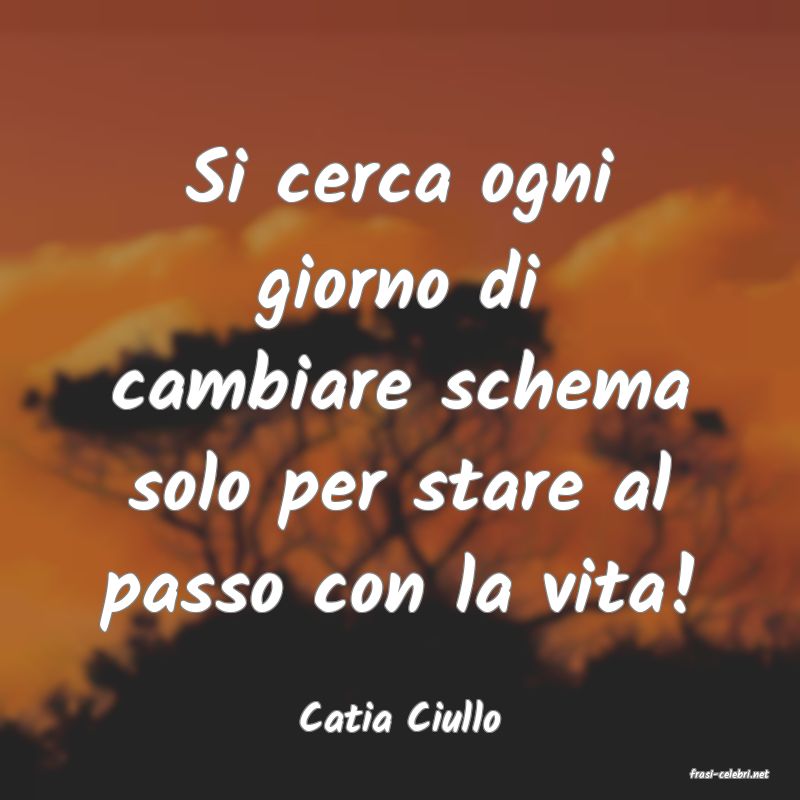 frasi di Catia Ciullo