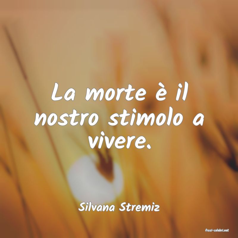 frasi di  Silvana Stremiz
