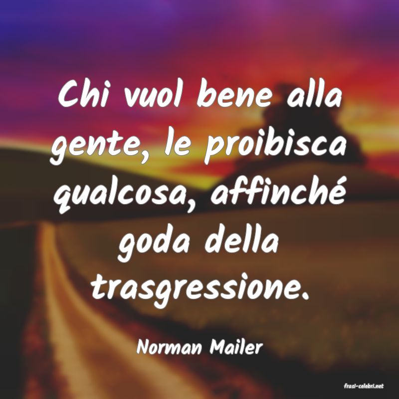 frasi di  Norman Mailer
