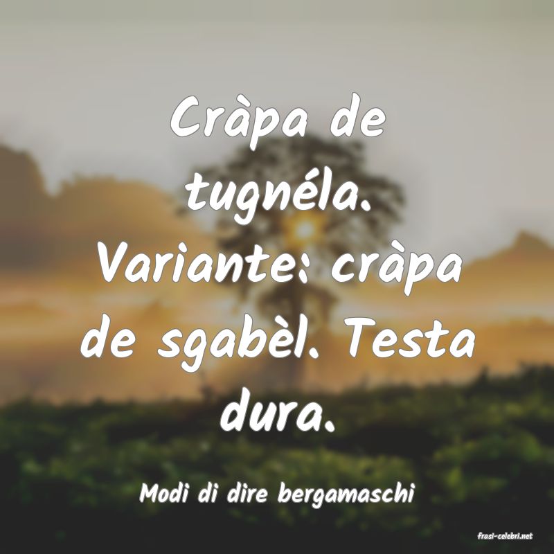 frasi di Modi di dire bergamaschi