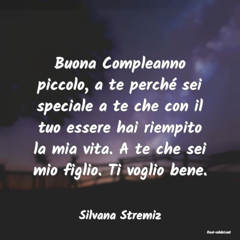 frasi di Silvana Stremiz