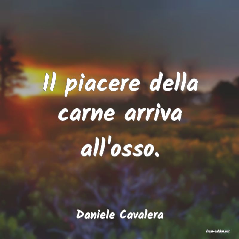 frasi di Daniele Cavalera