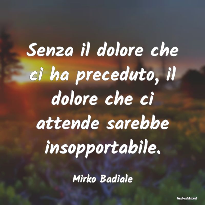 frasi di  Mirko Badiale
