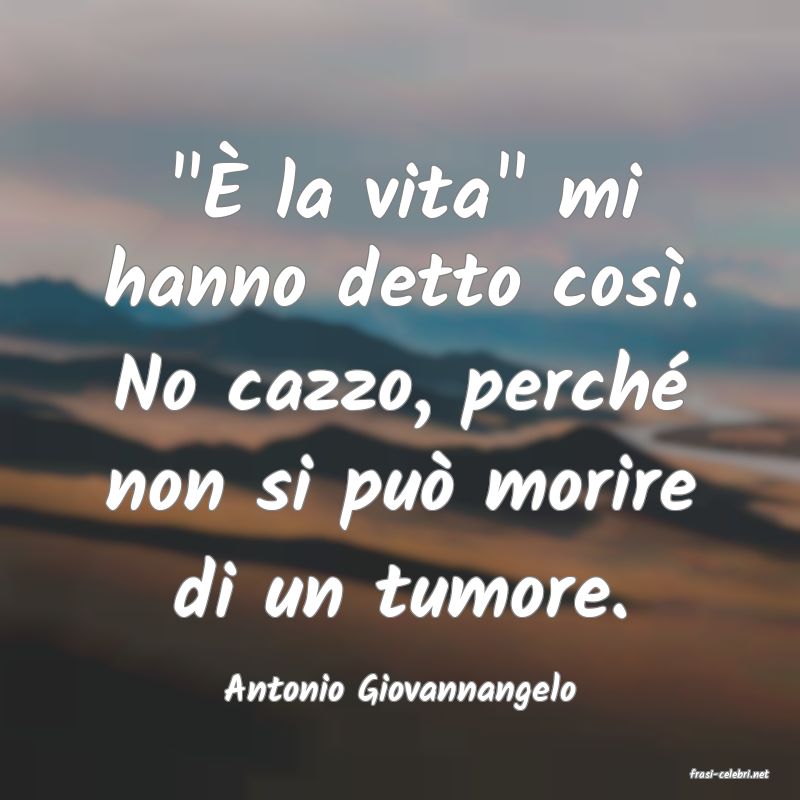 frasi di  Antonio Giovannangelo
