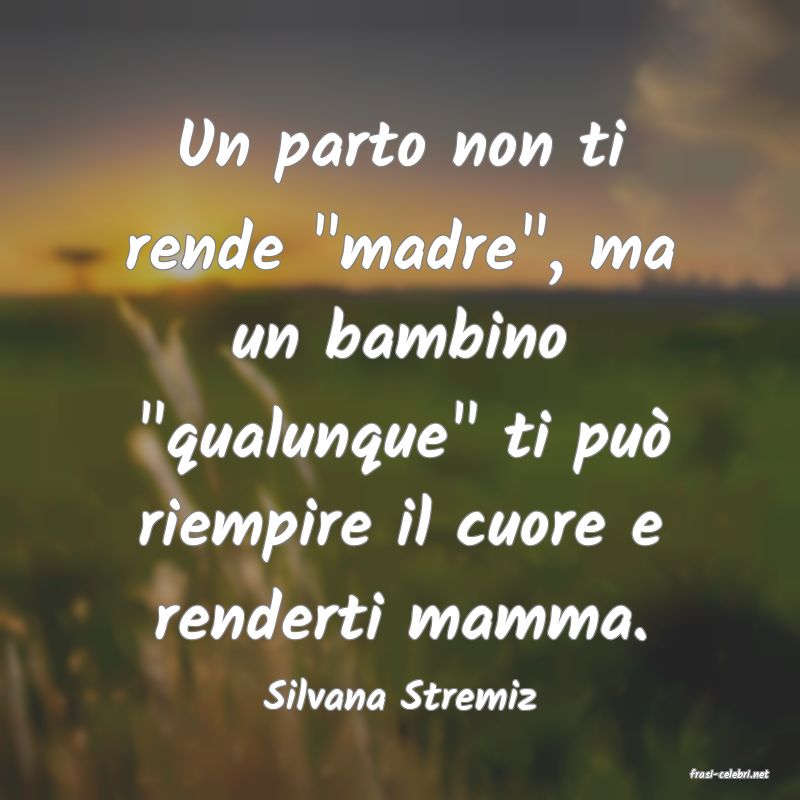 frasi di  Silvana Stremiz
