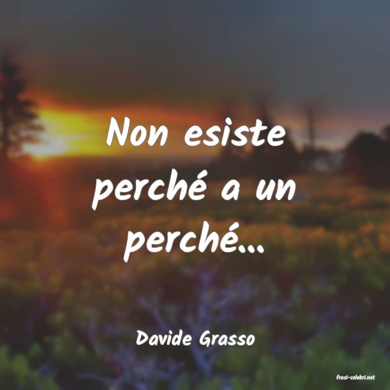 frasi di  Davide Grasso
