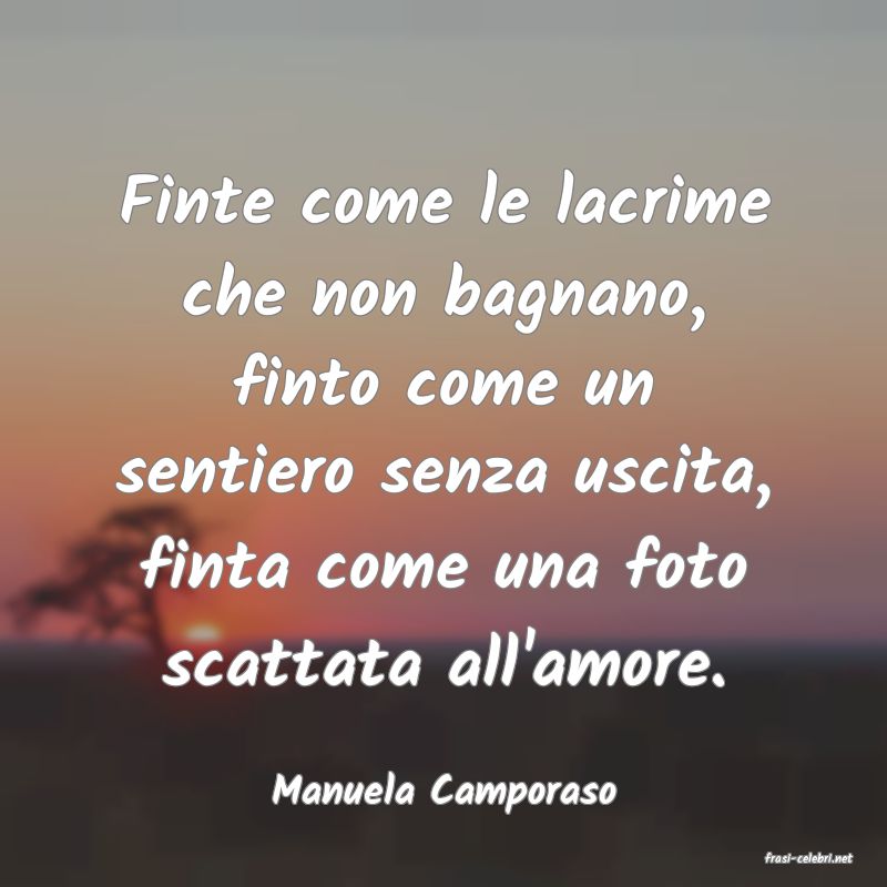 frasi di Manuela Camporaso