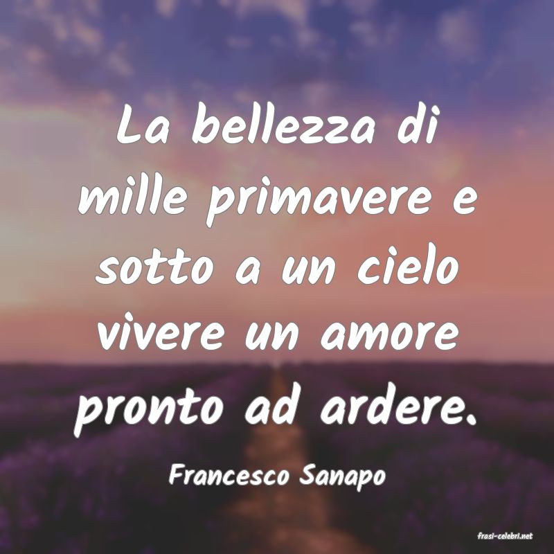 frasi di  Francesco Sanapo
