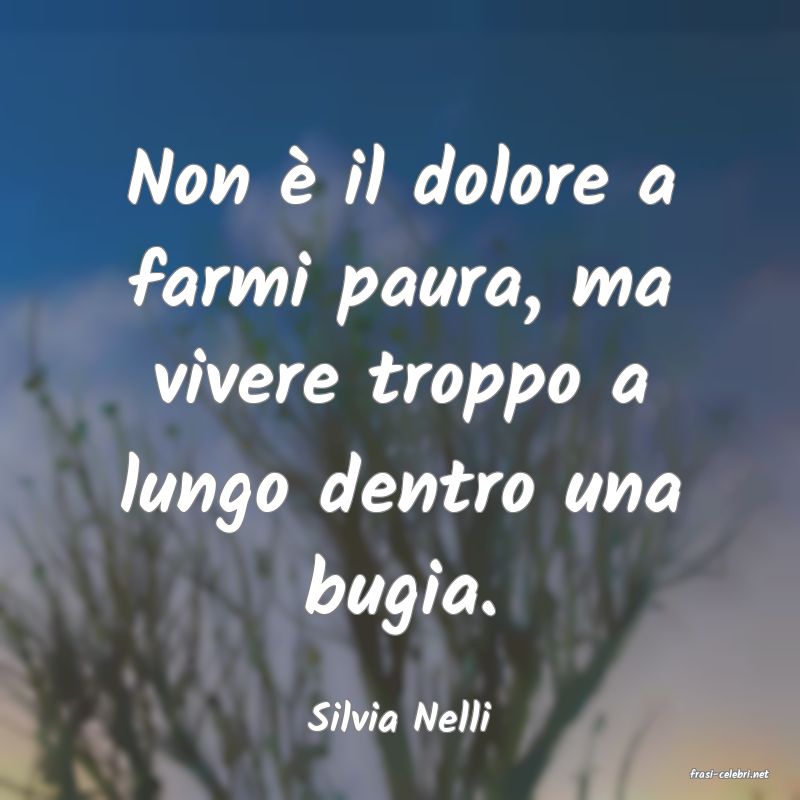 frasi di Silvia Nelli