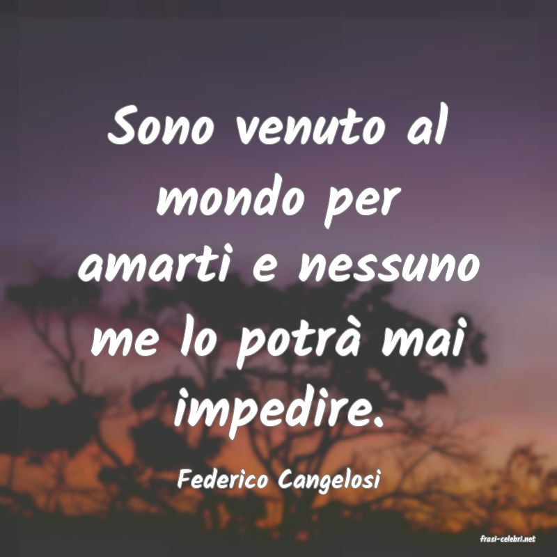 frasi di  Federico Cangelosi
