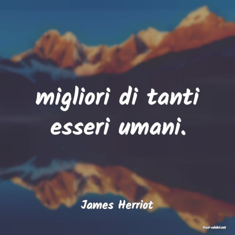 frasi di  James Herriot
