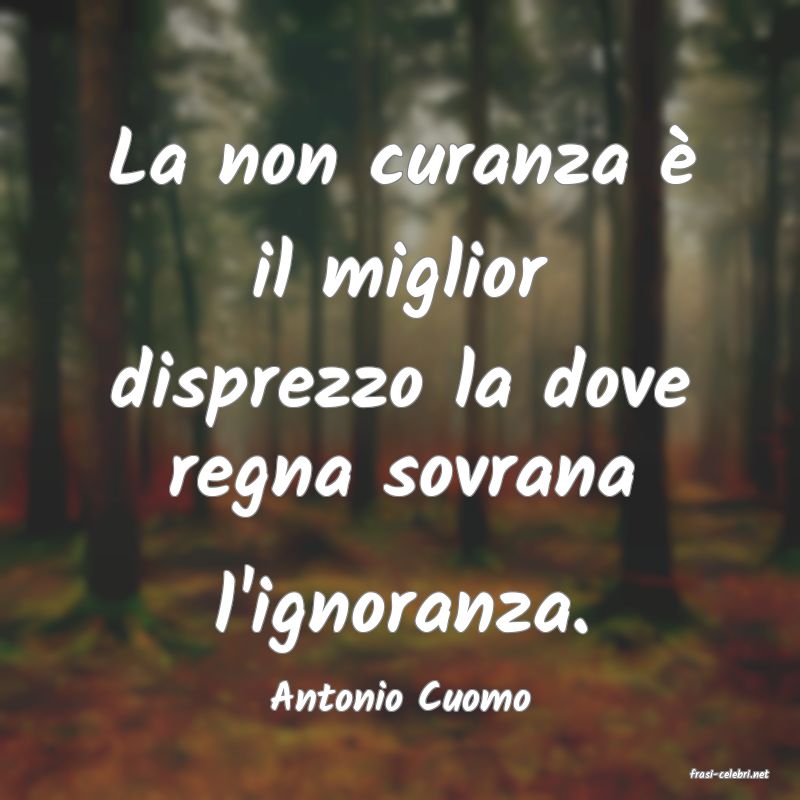 frasi di  Antonio Cuomo
