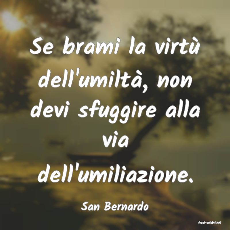 frasi di San Bernardo
