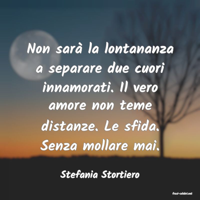 frasi di Stefania Stortiero