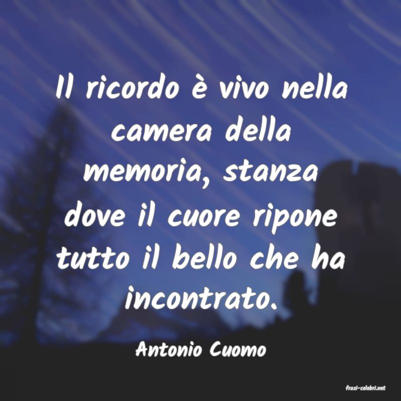 frasi di  Antonio Cuomo

