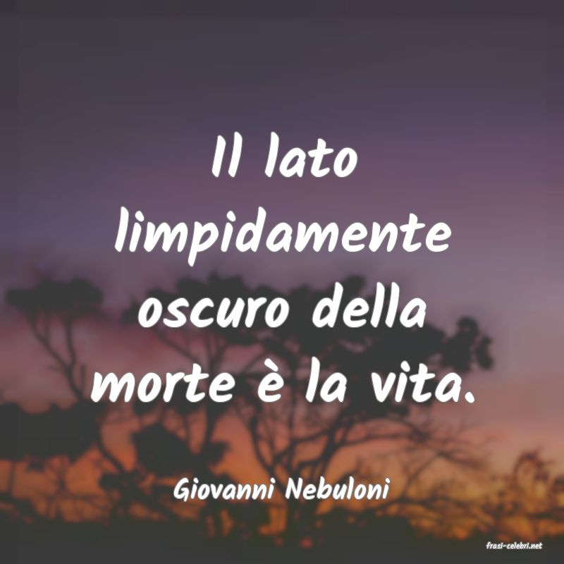frasi di  Giovanni Nebuloni
