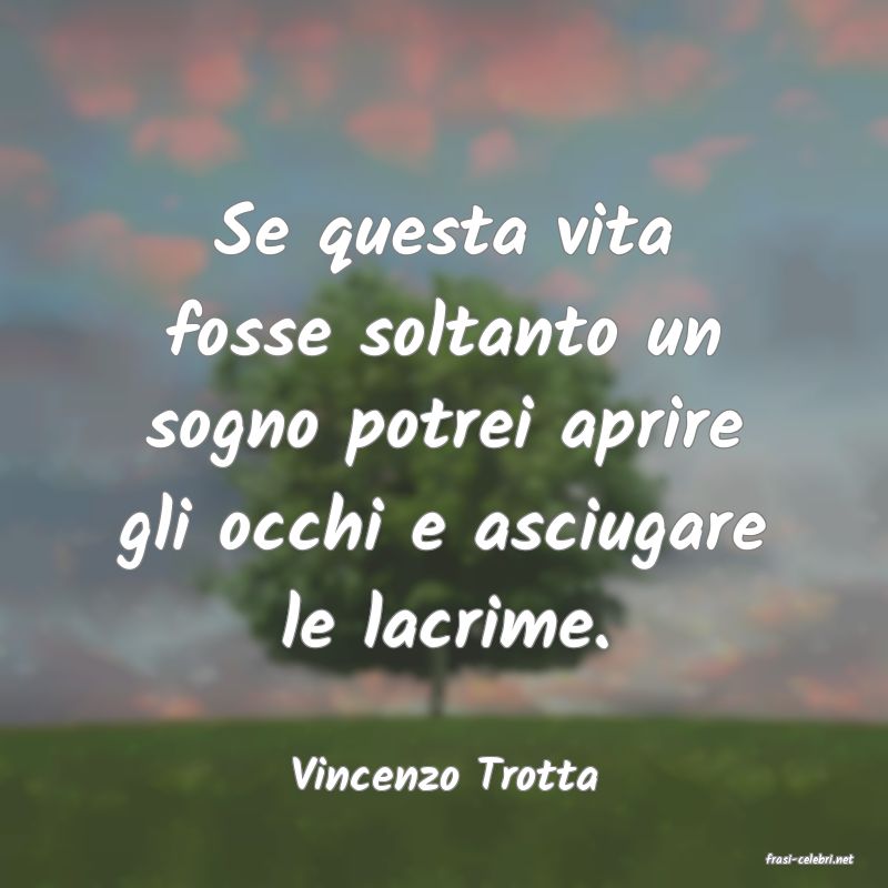 frasi di  Vincenzo Trotta
