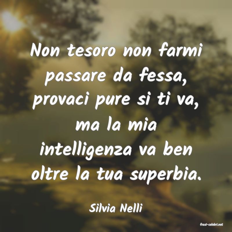 frasi di Silvia Nelli