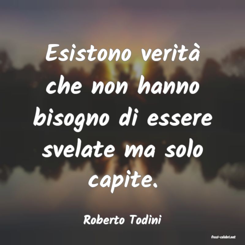 frasi di Roberto Todini