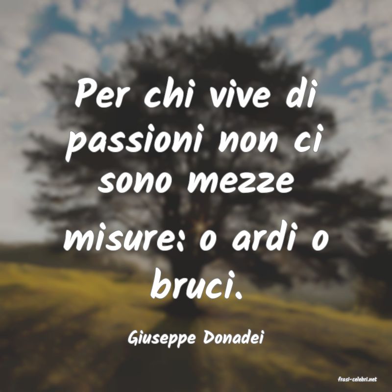 frasi di Giuseppe Donadei