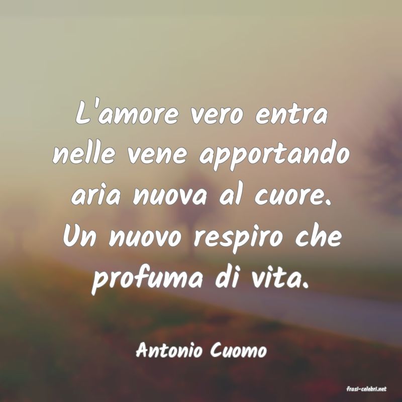 frasi di  Antonio Cuomo
