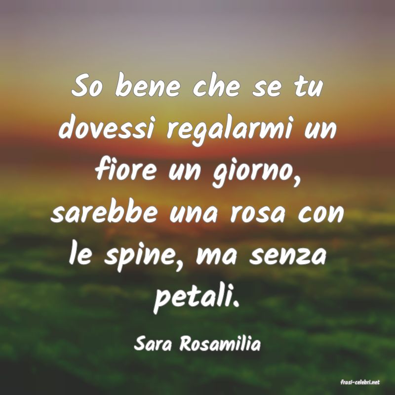 frasi di  Sara Rosamilia
