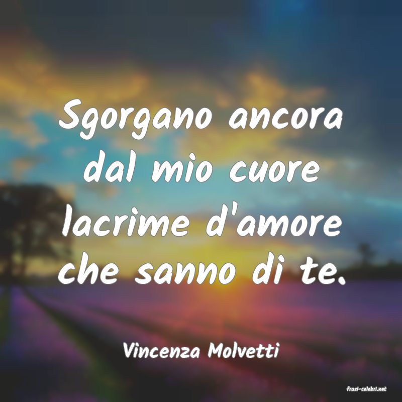 frasi di  Vincenza Molvetti
