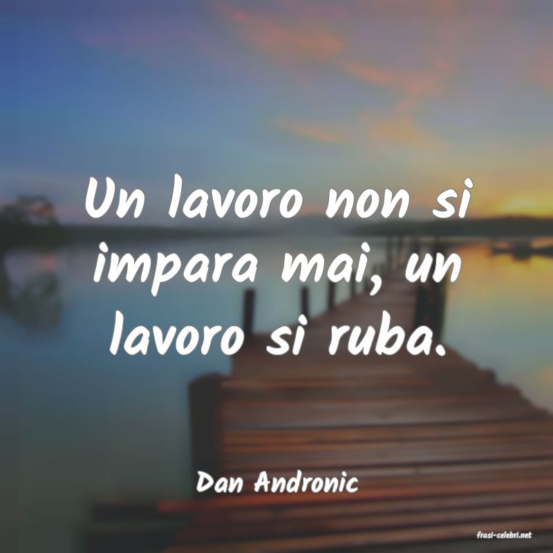 frasi di  Dan Andronic
