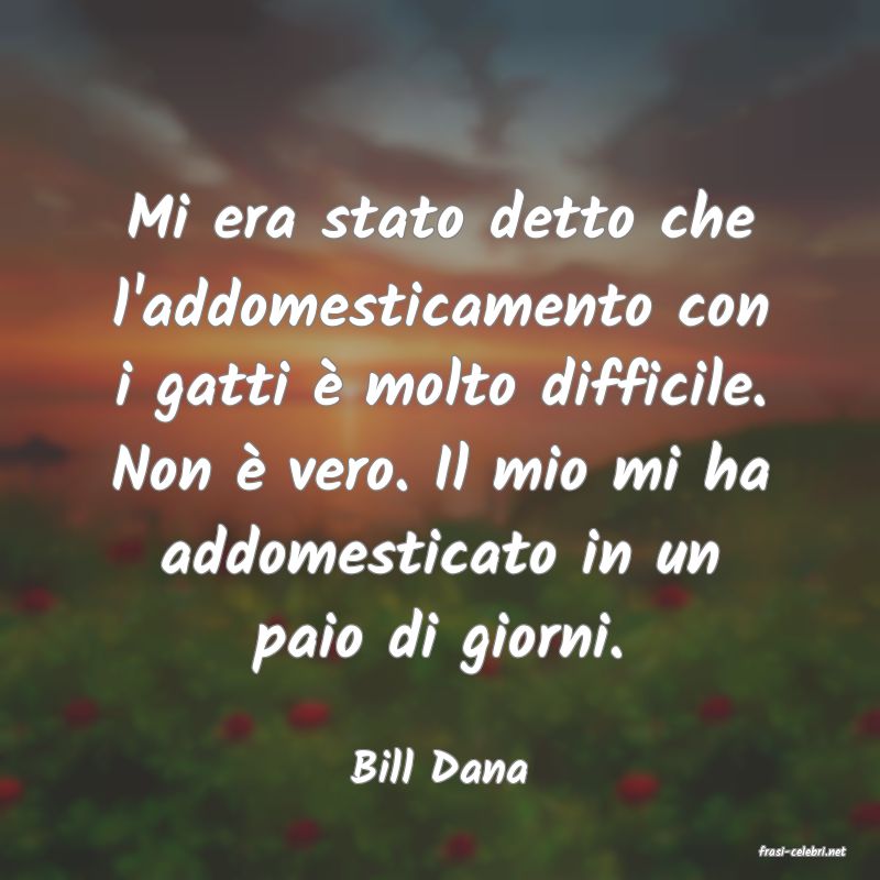 frasi di  Bill Dana
