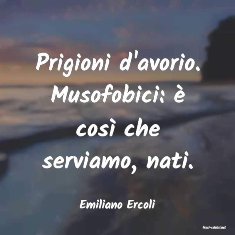 frasi di  Emiliano Ercoli
