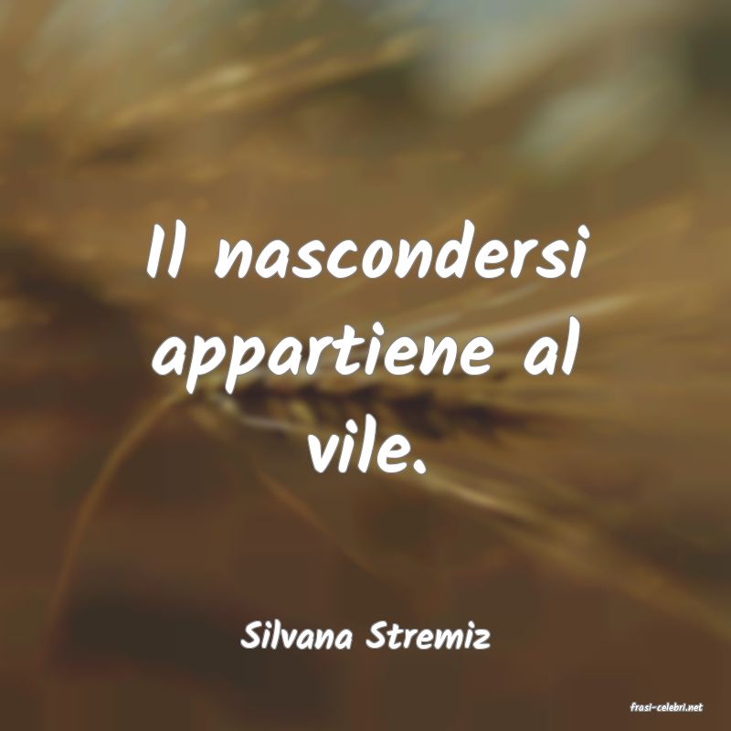 frasi di  Silvana Stremiz
