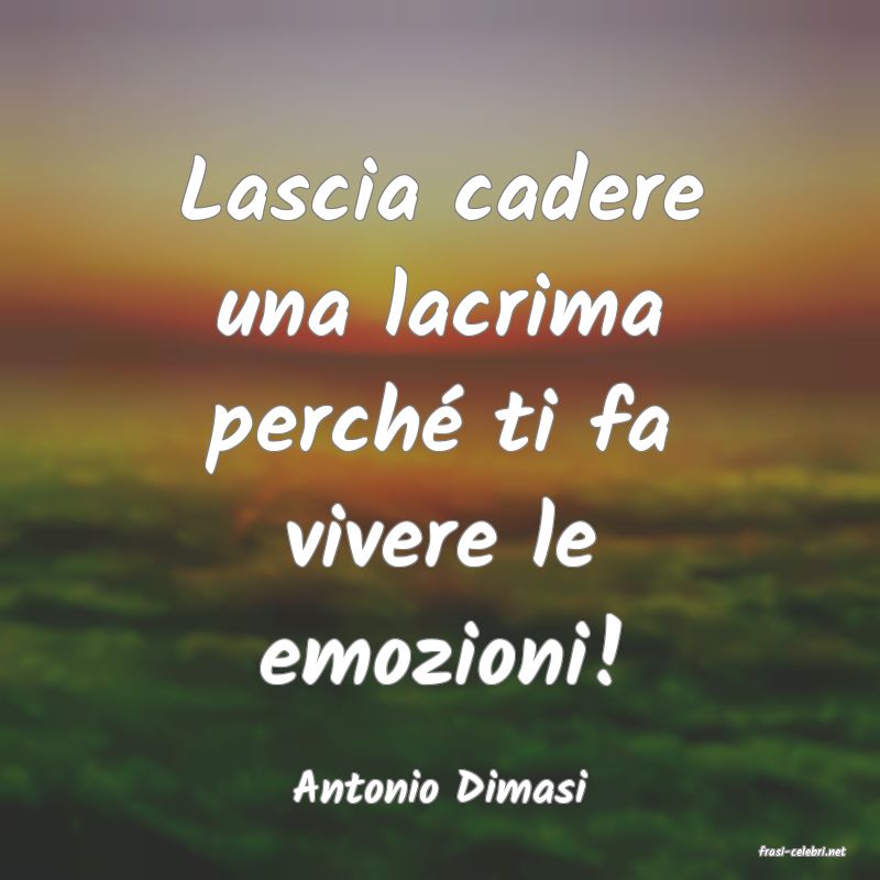 frasi di Antonio Dimasi