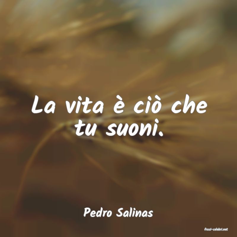 frasi di Pedro Salinas