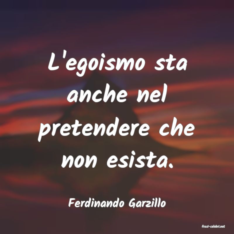 frasi di  Ferdinando Garzillo
