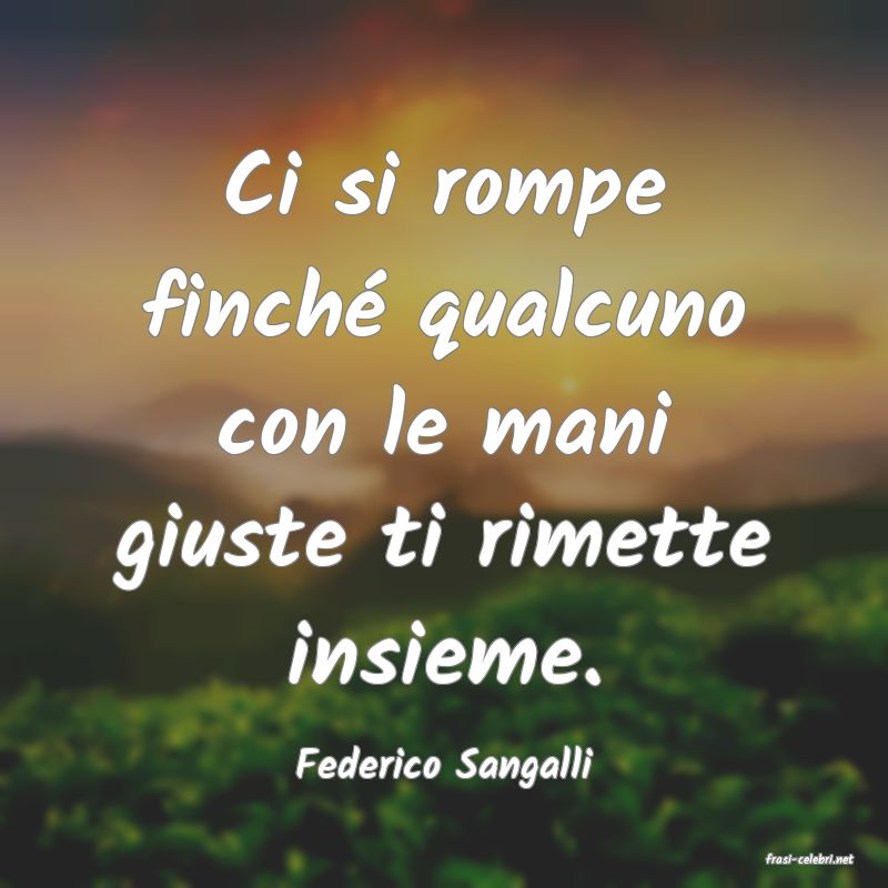 frasi di  Federico Sangalli
