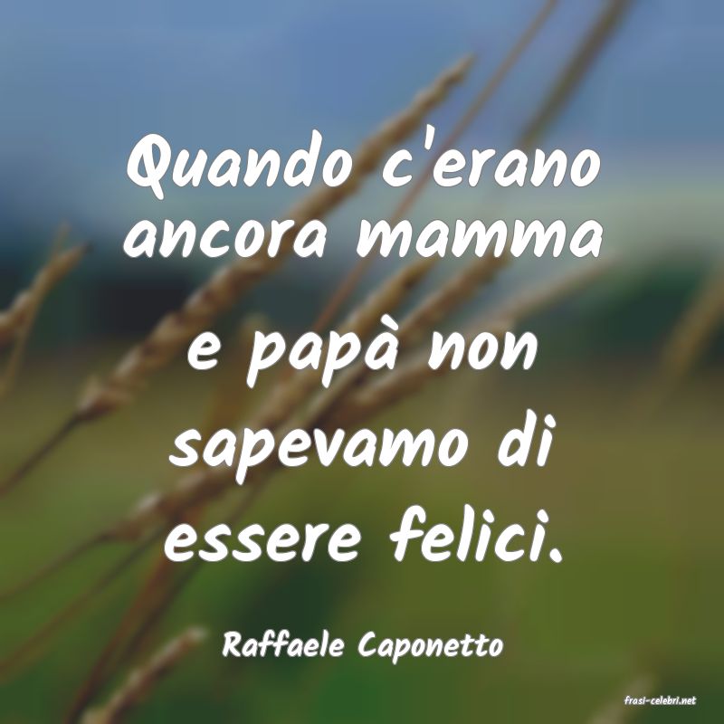 frasi di Raffaele Caponetto