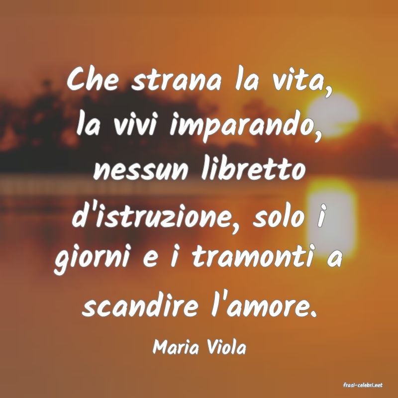 frasi di  Maria Viola
