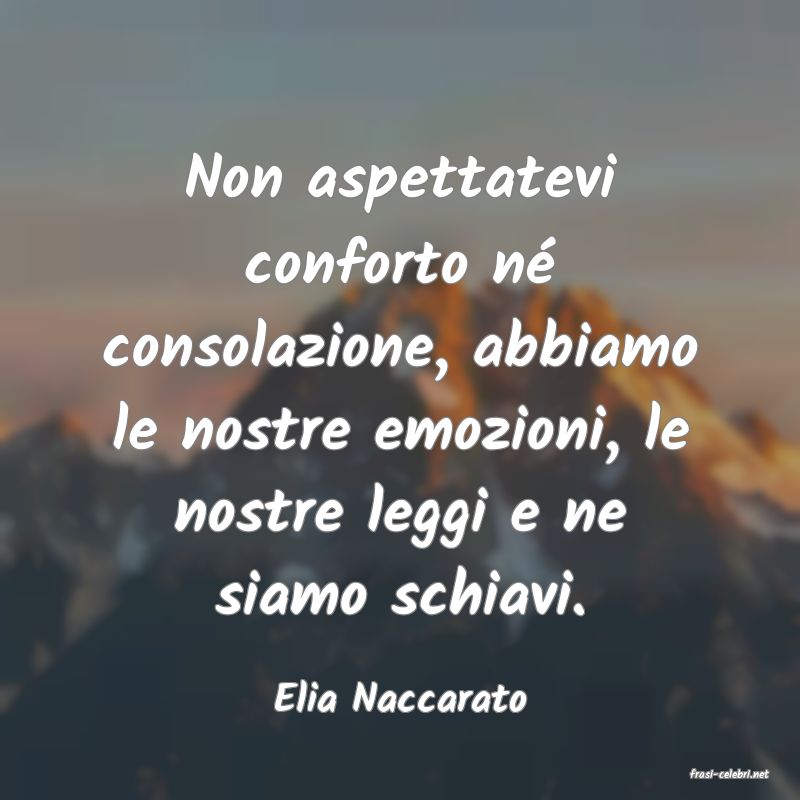 frasi di  Elia Naccarato

